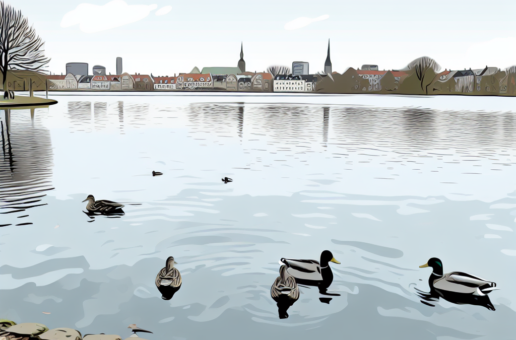 Fodr ænderne ved søbredden lige midt i byen i Hillerød